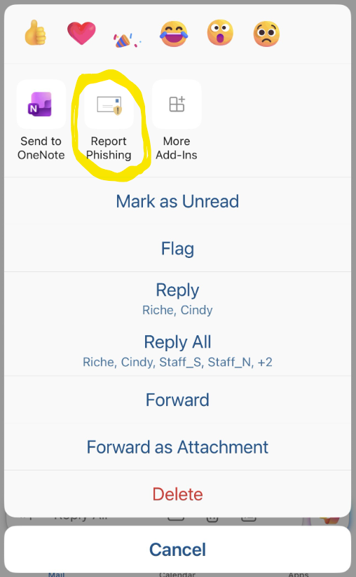 iOS menu showing the location of the "Report Phishing" button